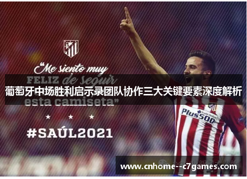 葡萄牙中场胜利启示录团队协作三大关键要素深度解析