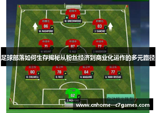 足球部落如何生存揭秘从粉丝经济到商业化运作的多元路径